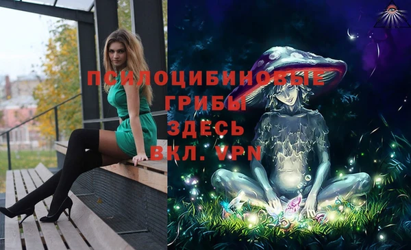 шишки Вяземский
