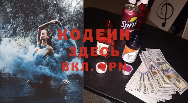 шишки Вяземский
