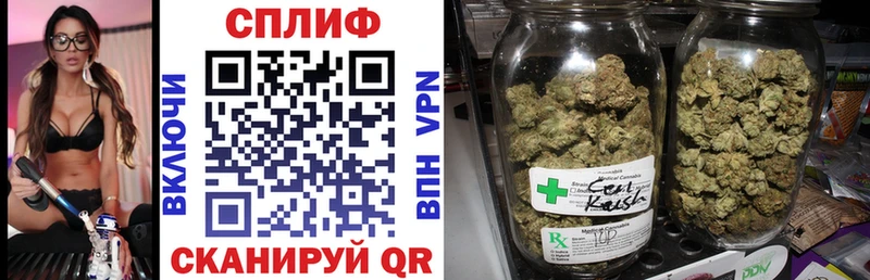 купить   Зима  Канабис Bruce Banner 